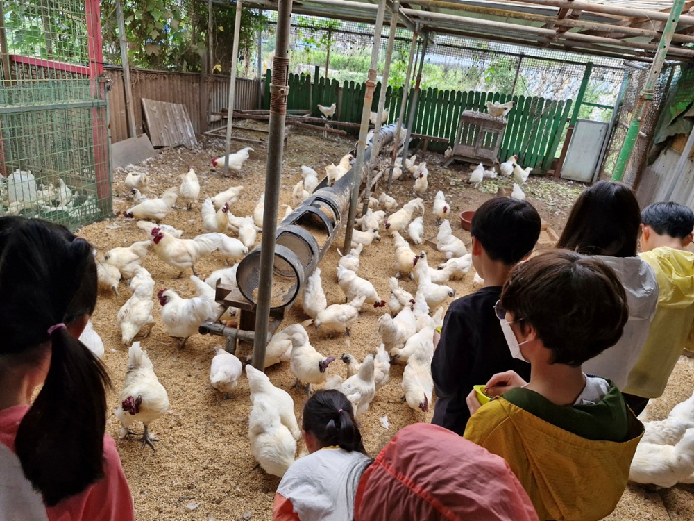 ▲쌍둥이농원농업회사법인 체험 활동 ⓒ여수시