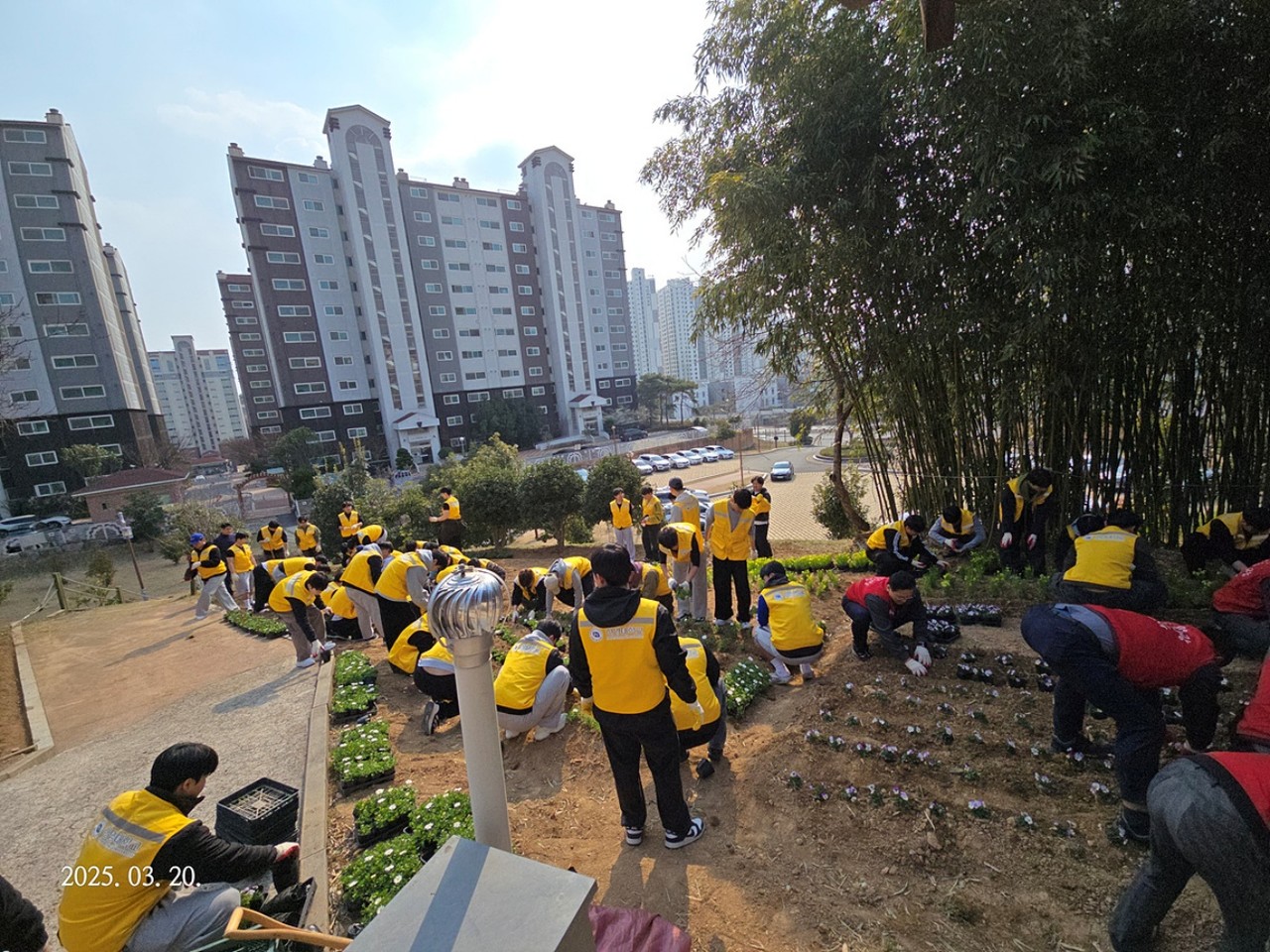 ▲여수시, ‘이충무공 어머니 사시던 곳’에 봄맞이 꽃밭 조성 ⓒ여수시
