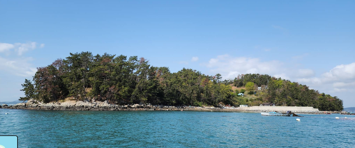 ▲2023년 4월 촬영한 구글 지도 금죽도 풍경이다. 초록의 솔숲으로 소나무가 무성하다.  ⓒ구글지도 캡처