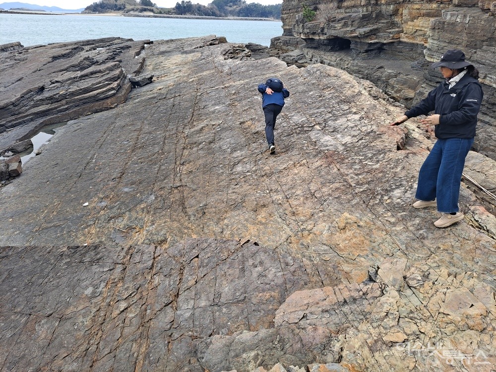 ▲조영희 문화해설사가 추도 섬마을 세계 최고 자랑거리인 천연기념물 ‘공룡 보행렬 화석’에 대해 설명하고 있다. ⓒ조찬현