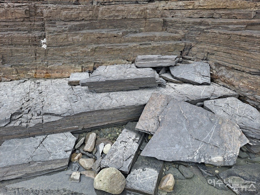 ▲공룡 발자국이 있는 섬 추도의 훼손된 퇴적암이다. 섬주민들은 근본 대책이 시급하다고 말한다. ⓒ조찬현