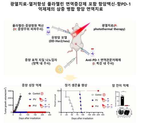 ▲새로운 암면역치료법을 개발 ⓒ전남대학교
