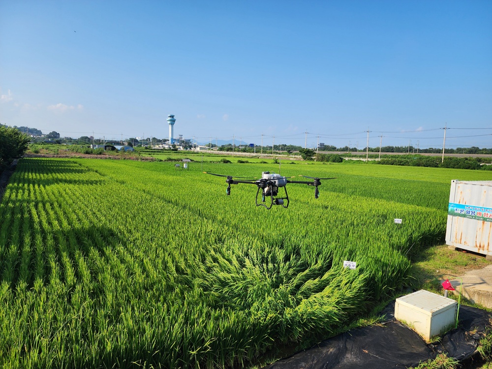 ▲농촌 고령화로 인한 인력난과 경영비 부담을 해소하고 안정적인 벼 생산을 위해 오는 18일까지 ‘병해충 공동 항공(드론)방제 지원사업’ 신청을 접수한다. ⓒ여수시