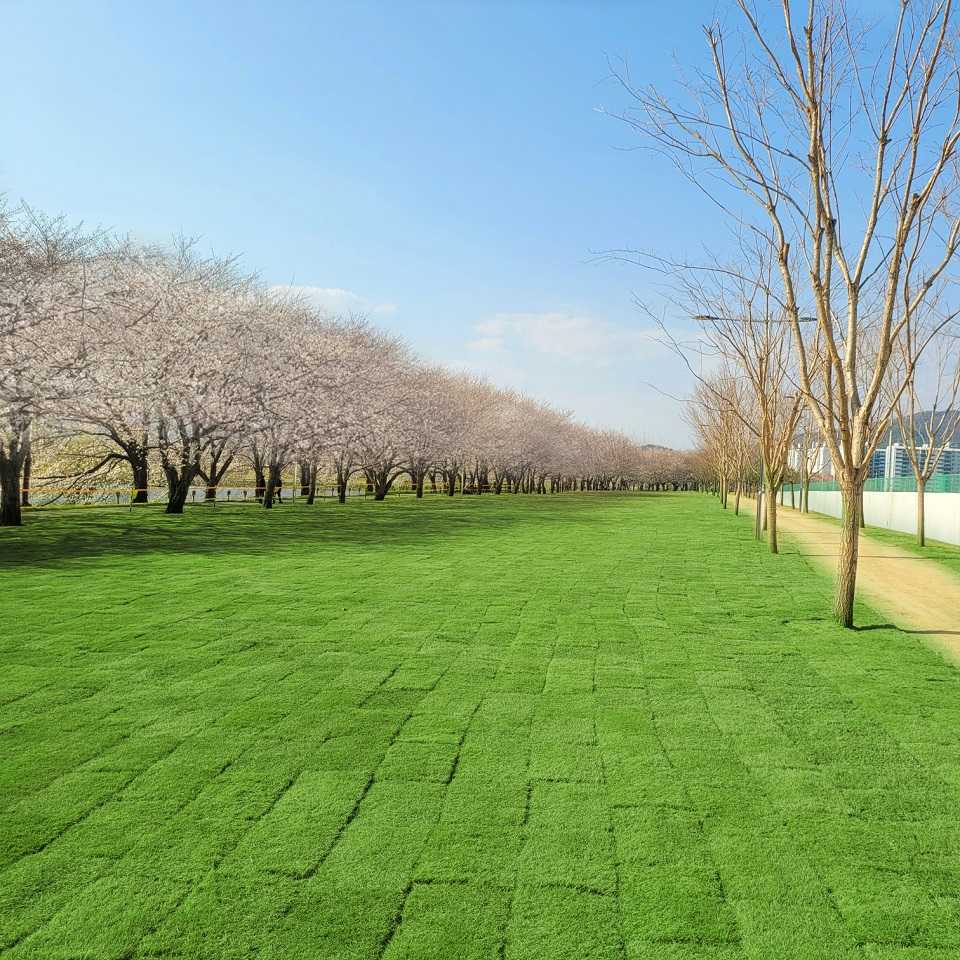 ▲동천 수변공원 개방 ⓒ순천시