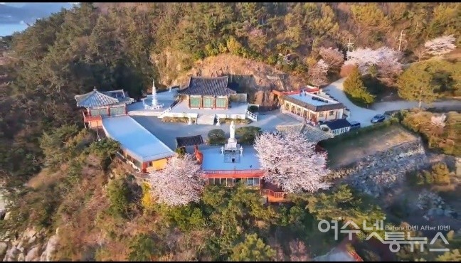 ▲여수시 용월사에 벚꽃이 활짝 피었다. ⓒ정종현