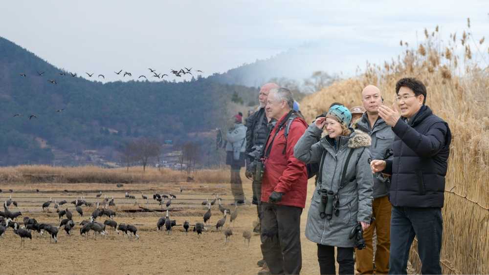 ▲지난 1월 국제 두루미재단에서 흑두루미 월동지인 순천만을 방문했다 ⓒ순천시