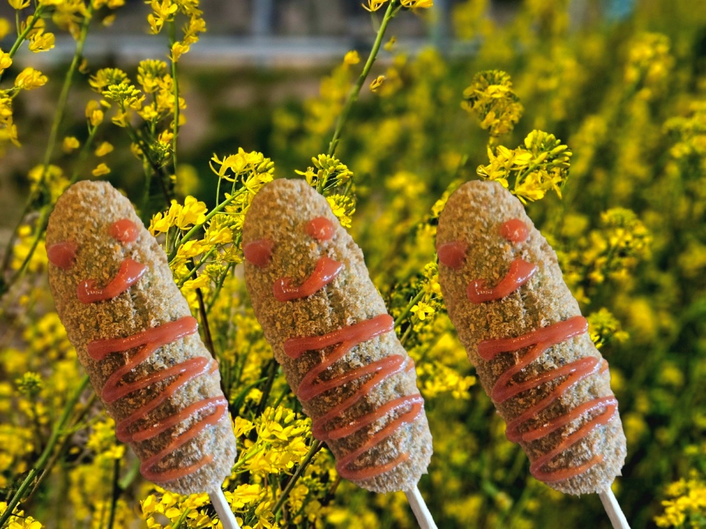 ▲갓도그 ⓒ여수시