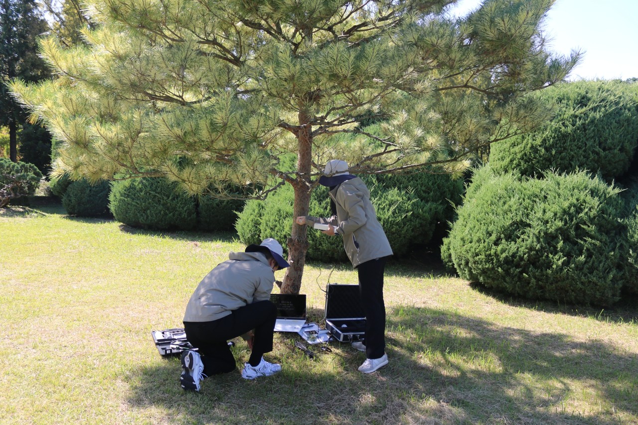 ▲산림병해충 예찰·진단 ⓒ전라남도