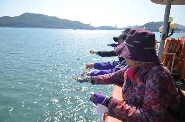 ▲ 갈매기 먹이주는 체험을 하고 있는 노인일자리사업 참여자