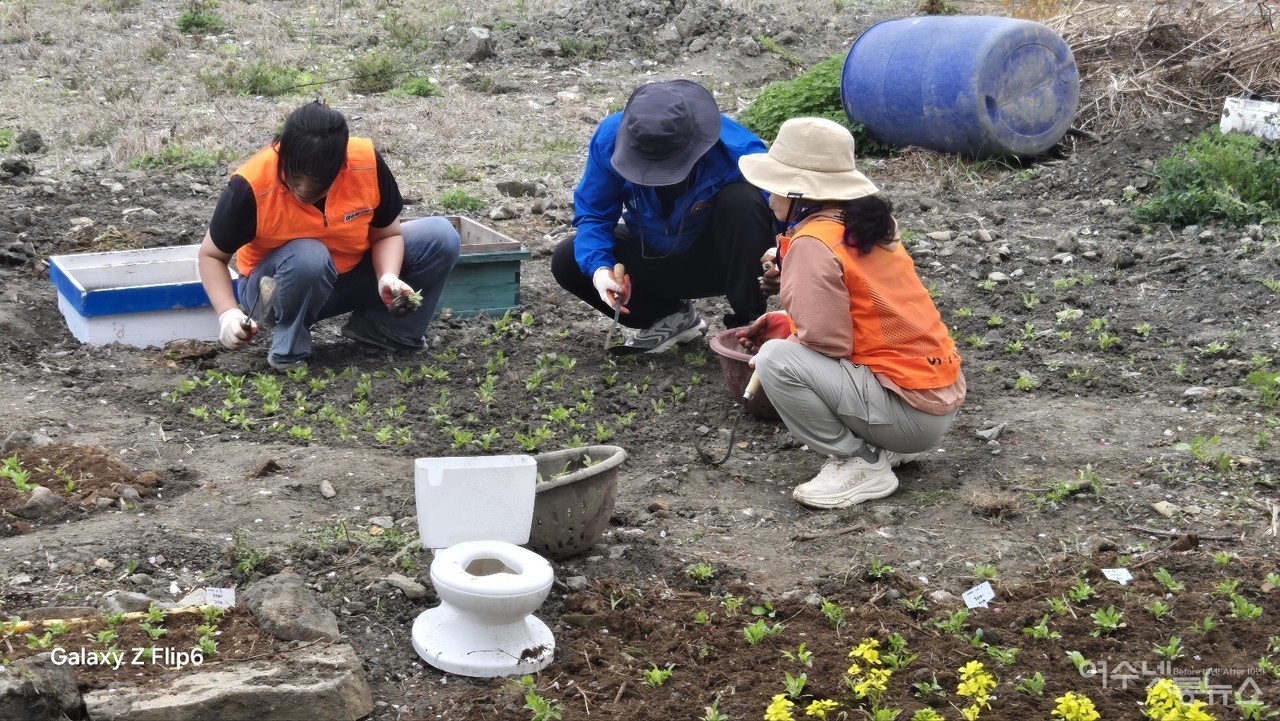 ▲야생화 꽃밭가꾸기 자원봉사 모습 ⓒ정종현