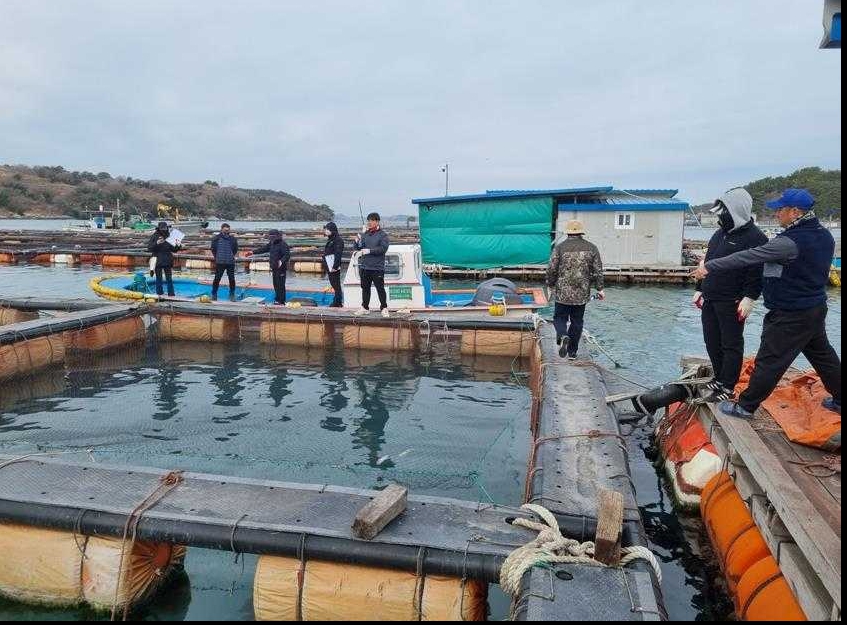 ▲합동 피해조사반이 남면 저수온 피해 어가를 찾아 피해 규모를 조사하고 있다. ⓒ여수시