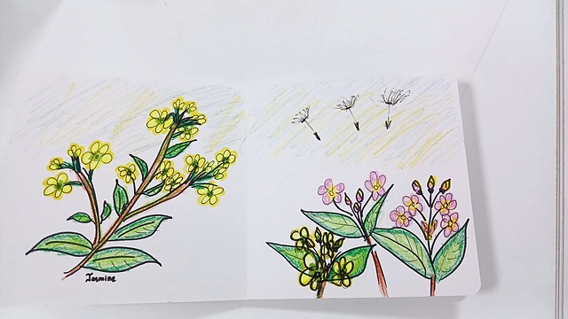 ▲그녀 설명에 의하면 한국에서 자유롭게 날아간 민들레 꽃씨가 인도네시아 국화인 쟈스민 꽃 인근으로 낙하하고 있다 ⓒ오문수