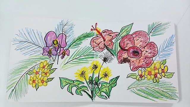 ▲세상에서 제일 큰 라플레시아 꽃과 인도네시아 국화인 쟈스민 옆에 안착한 민들레가 꽃을 피우고 있다. 세상 사람 모두는 꽃이라고 말한 그녀는 한국에서 오는 민들레 꽃을 환영하겠다며 차별철폐를 의미하는 그림을 그렸다. ⓒ오문수