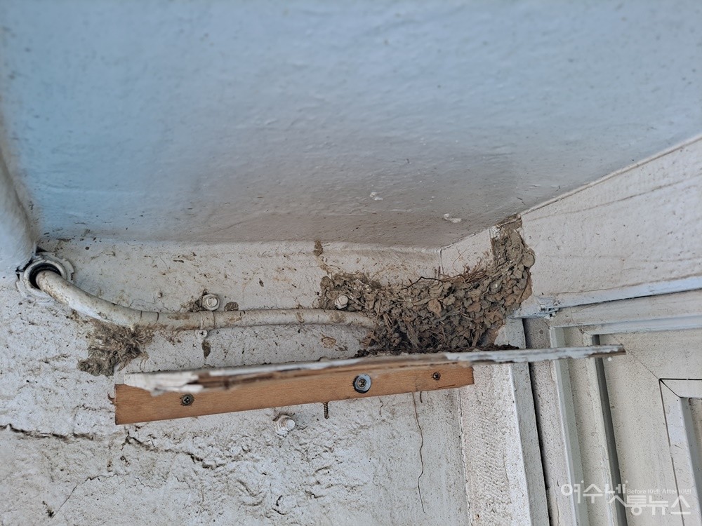 ▲송도를 오가는 송도호에는 제비가 떠난 후 빈집만 남았다. ⓒ조찬현