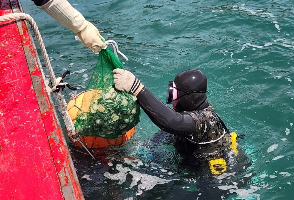 ▲지난해 전복 종자 49만 마리 방류 모습 ⓒ여수시