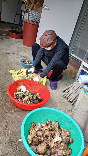 ▲강선봉씨가 소라껍질을 이용해 작품을 만들고 계시는 모습 ⓒ오문수​