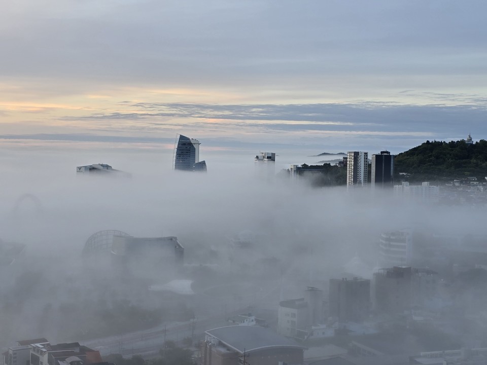 ▲ 가자 보수여! 당신의 눈물은 누구를 위한 것인가? ⓒ김광호