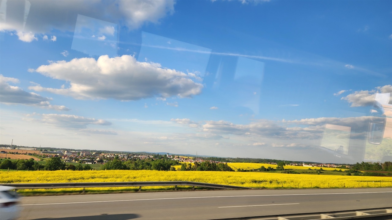 ▲유채꽃과 마을 풍경고속도로에서 바라본 마을 주변이 온통 노랑 유채꽃밭의 시골 풍경이 무척이나 아름다워 감탄사를 연발했다.  ⓒ김용자