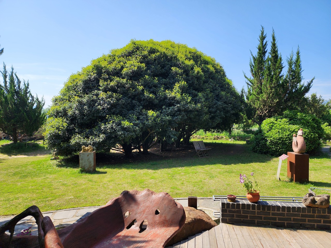 ▲ 민간정원 페스타-천개의 향나무숲 ⓒ전라남도