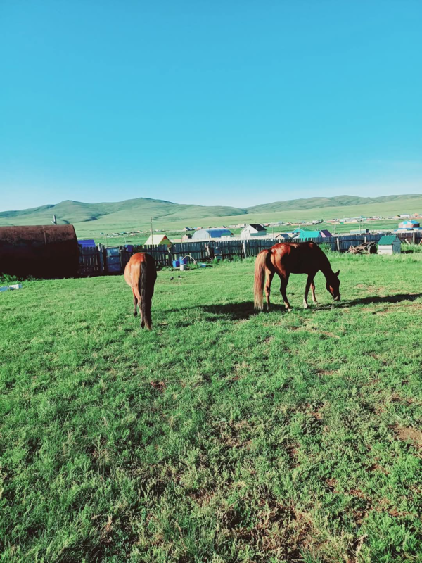 ▲ 몽골 초원 풍경 ⓒ히시게