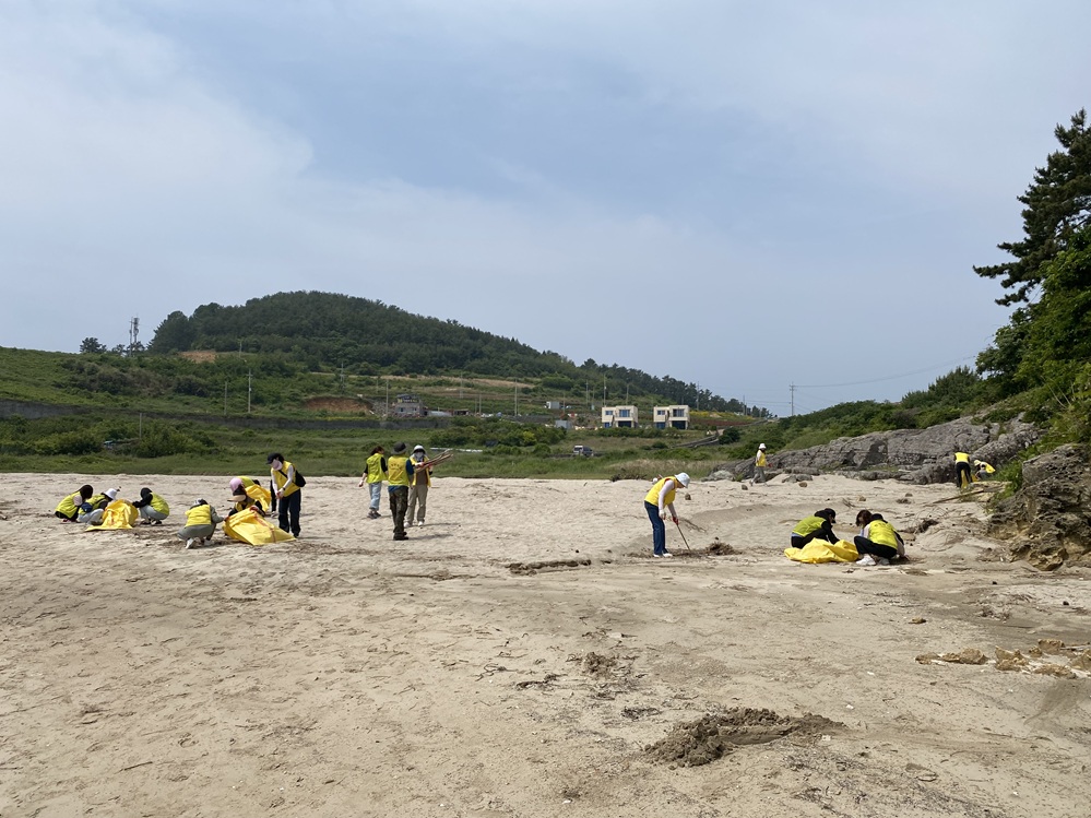 ▲ 환경정화활동을 펼치고 있는 봉사동아리 회원들 ⓒ 한영대학교 사회복지학과