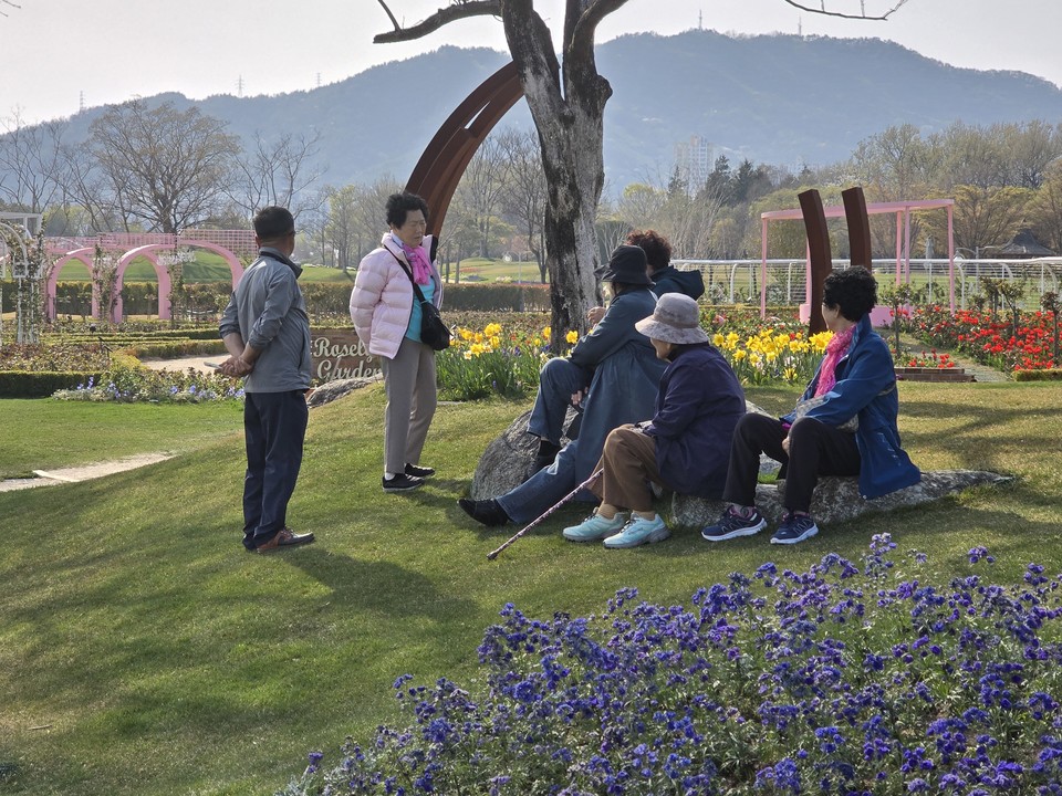 ▲ 아! 이것이 기적이 아니면 무엇이란 말인가?