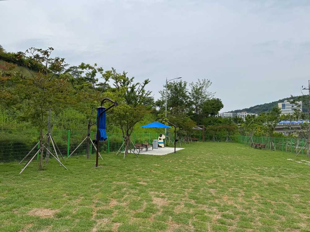 ▲여수 이순신공원 반려견 놀이터 전경 ⓒ여수시