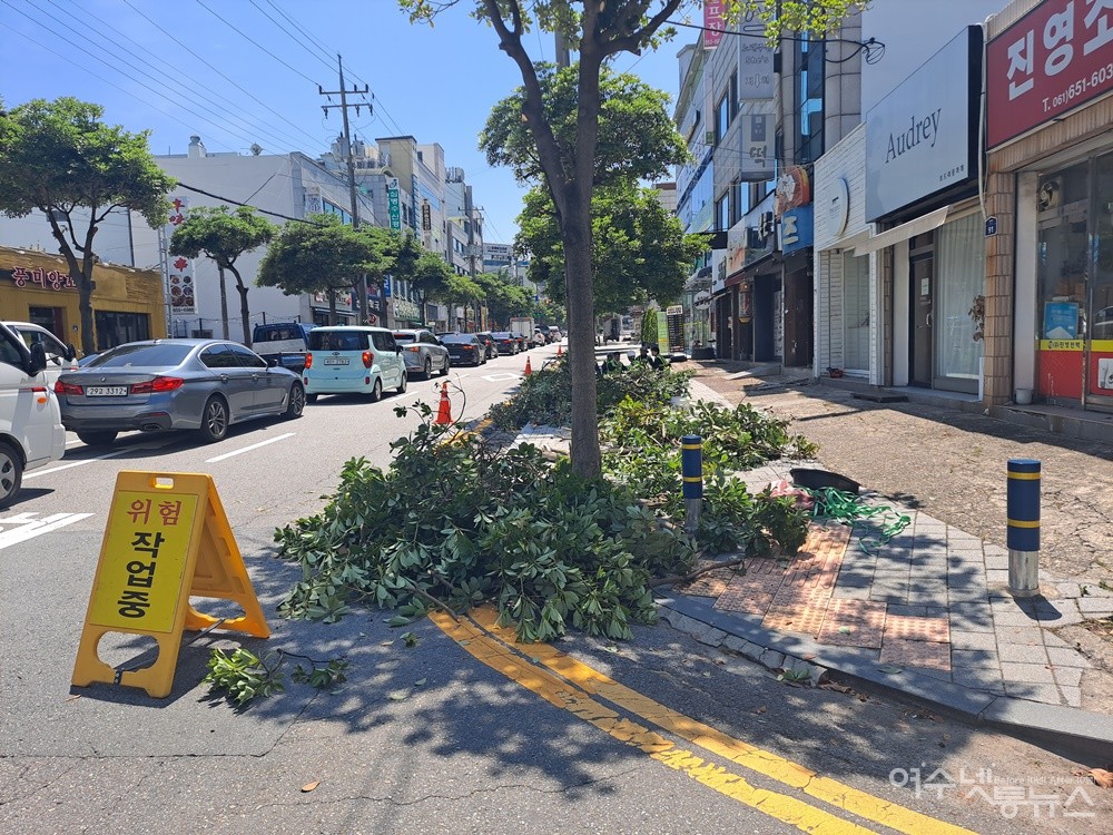 ▲ 작업자들이 강전정한 후박나무 가로수 나뭇가지가 널브러져 있다. ⓒ조찬현