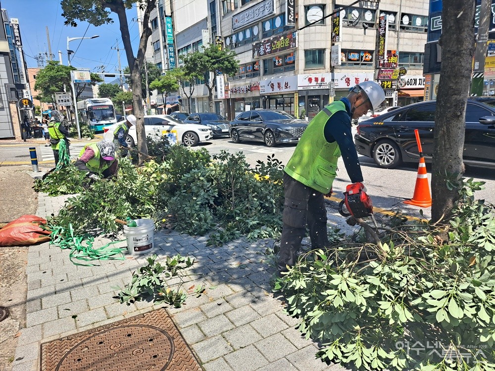 ▲ 여수해양경찰서-여문공원 간 도로, 폭염 속에 가로수를 전정하고 있다. ⓒ조찬현