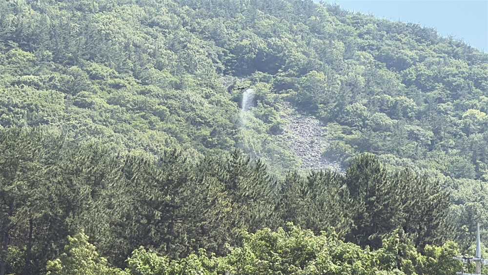 ▲드론 방제 현장 ⓒ여수시