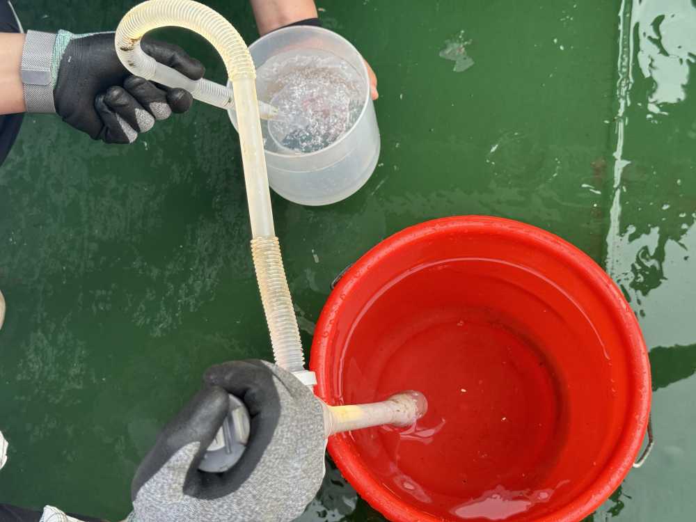 ▲ 여수해수청, 선박 평형수 방사능 오염조사 실시 ⓒ여수지방해양수산청