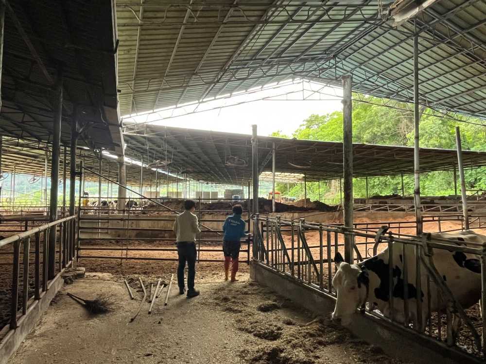 ▲지난 2일 시 관계자가 관내 축산농가를 방문해 현장 점검과 폭염 대응 홍보 활동을 하고 있다. ⓒ순천시