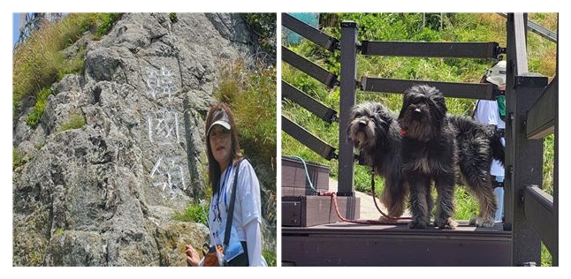 ▲한국령이라고 새겨진 동도에서 11대 독도지킴이 해랑이와 도랑이 ⓒ정소영