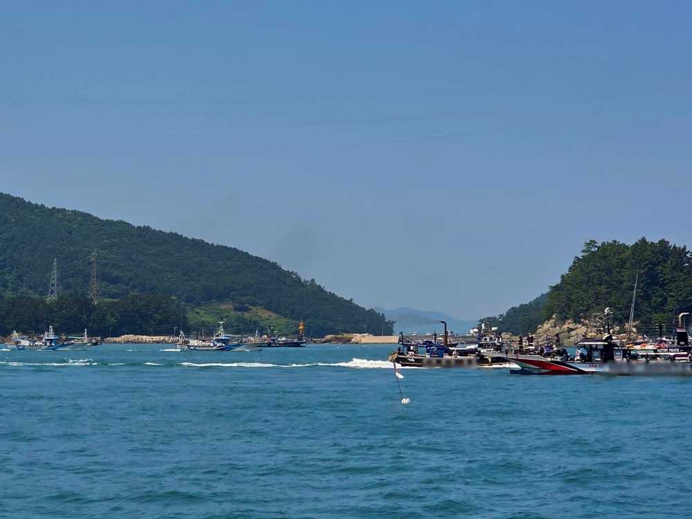 ▲문어 금어기 해제 첫날, 밀집조업 중인 낚시어선 ⓒ여수해양경찰서