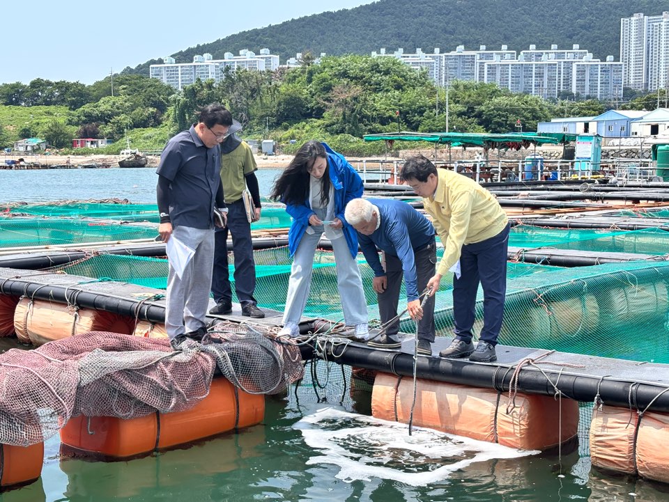 ▲ 여수시 부시장 고수온 대비 양식장 현장점검 ⓒ여수시