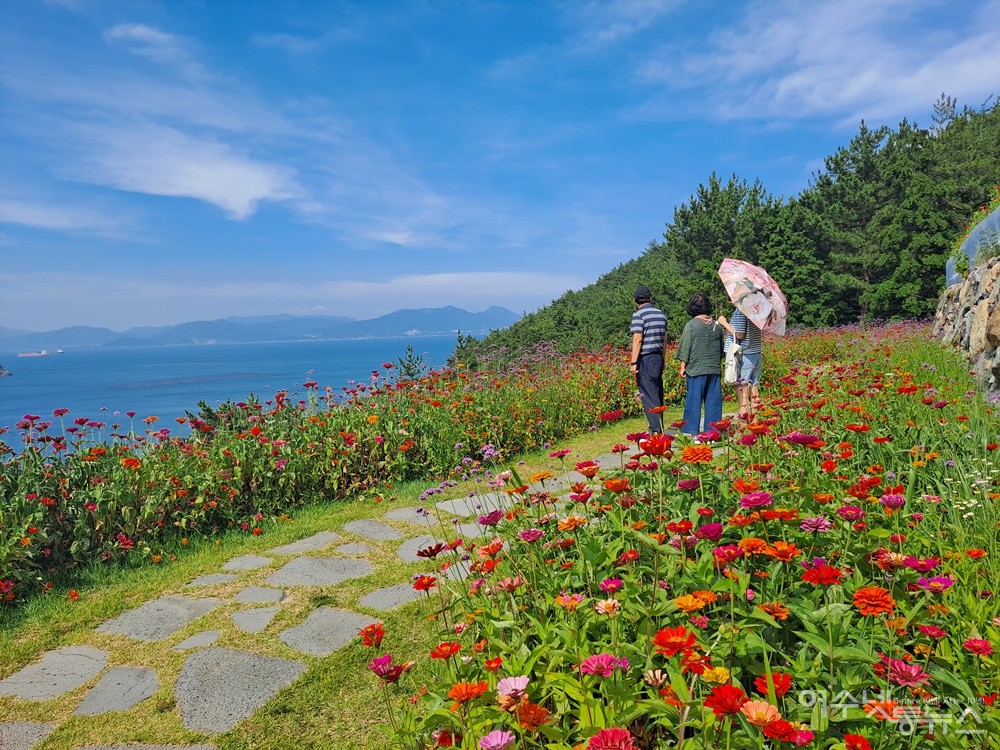 ▲ 한 여행자 가족이 백일홍 꽃밭을 감상하고 있다. ⓒ조찬현
