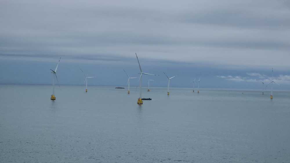 ▲지난 7일부터 12일까지 ‘공공주도 해상풍력 단지개발 지원사업’의 일환으로 주민·어민단체와 함께 중국 광둥성과 푸젠성 일대 해상풍력단지를 방문해 해외 선진 사례를 벤치마킹했다. ⓒ여수시