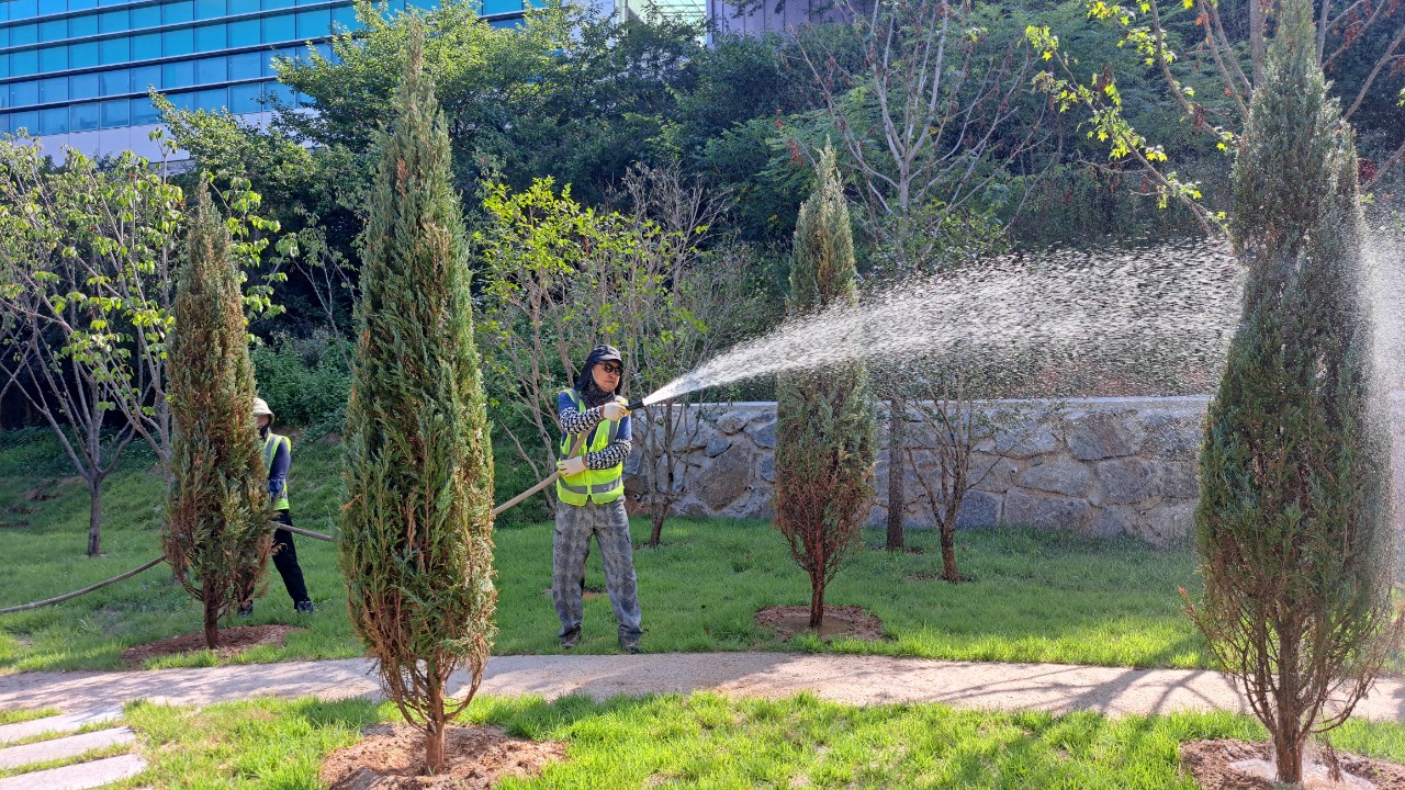 ▲지난 9일 도시숲직영작업단이 지봉로에 위치한 기후대응도시숲에 물을 주고 있다. ⓒ순천시