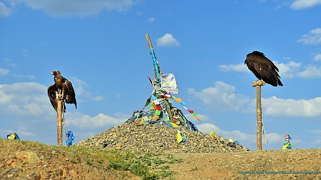 ▲ 관광객들이 기념 사진을 촬영하도록 '어워' 옆에 독수리를 묶어놓았다 ⓒ오문수