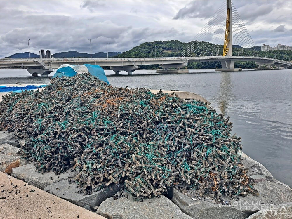 ▲ 가막만 홍합양식장에서 나온 폐밧줄이 쌓여있다.ⓒ조찬현