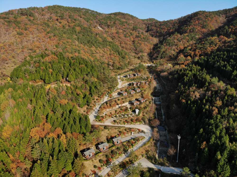 ▲  봉황산자연휴양림 ⓒ여수시도시관리공단