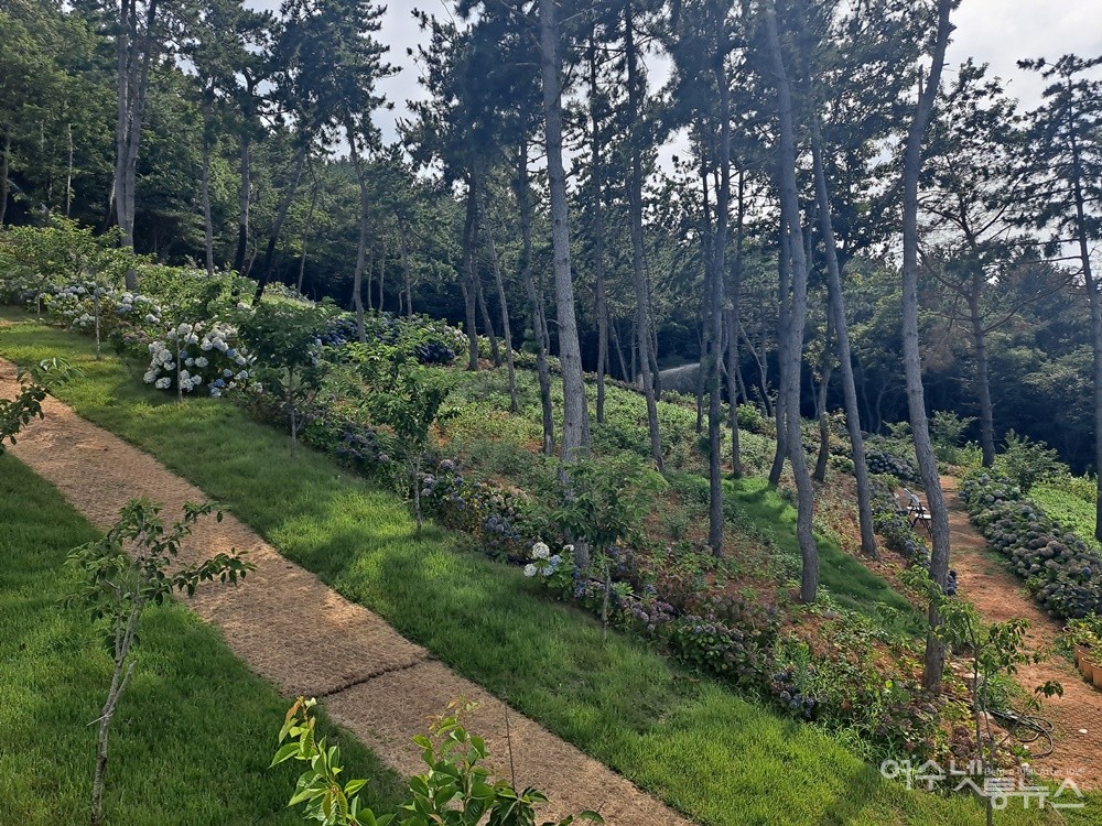 ▲ 자연을 잘 활용한 수국정원이 아름답다. ⓒ조찬현