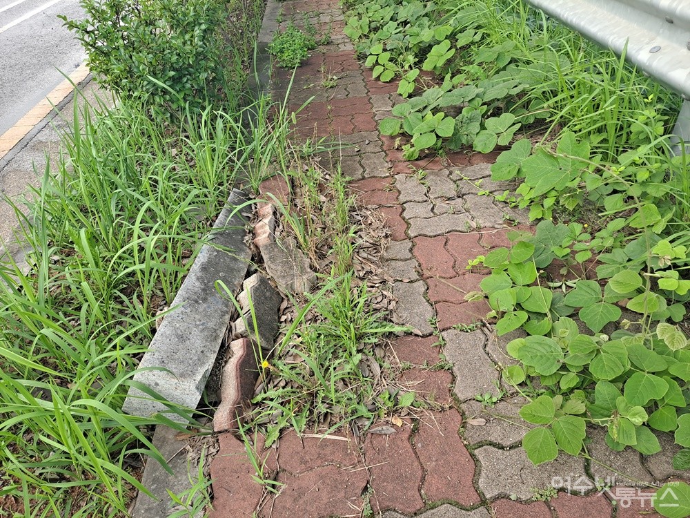 ▲ 보행자 도로 일부가 훼손됐다.  ⓒ조찬현