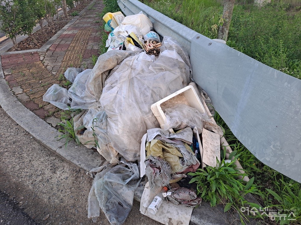▲ 시 외곽 도로변에 오랫동안 방치된 쓰레기다.  ⓒ조찬현
