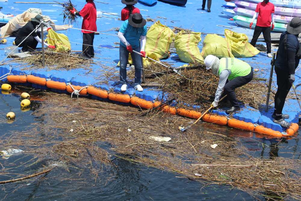 ▲ 여수세계박람회장 일대 해안 정화활동 모습 ⓒ여수광양항만공사