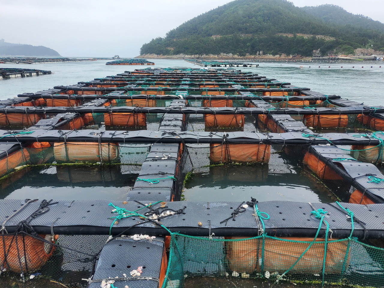 ▲전복 양식장 ⓒ전라남도