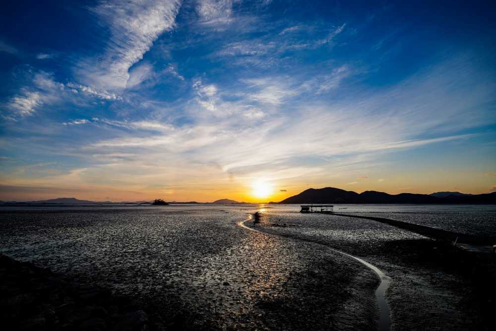 ▲ 순천만습지 ⓒ순천시