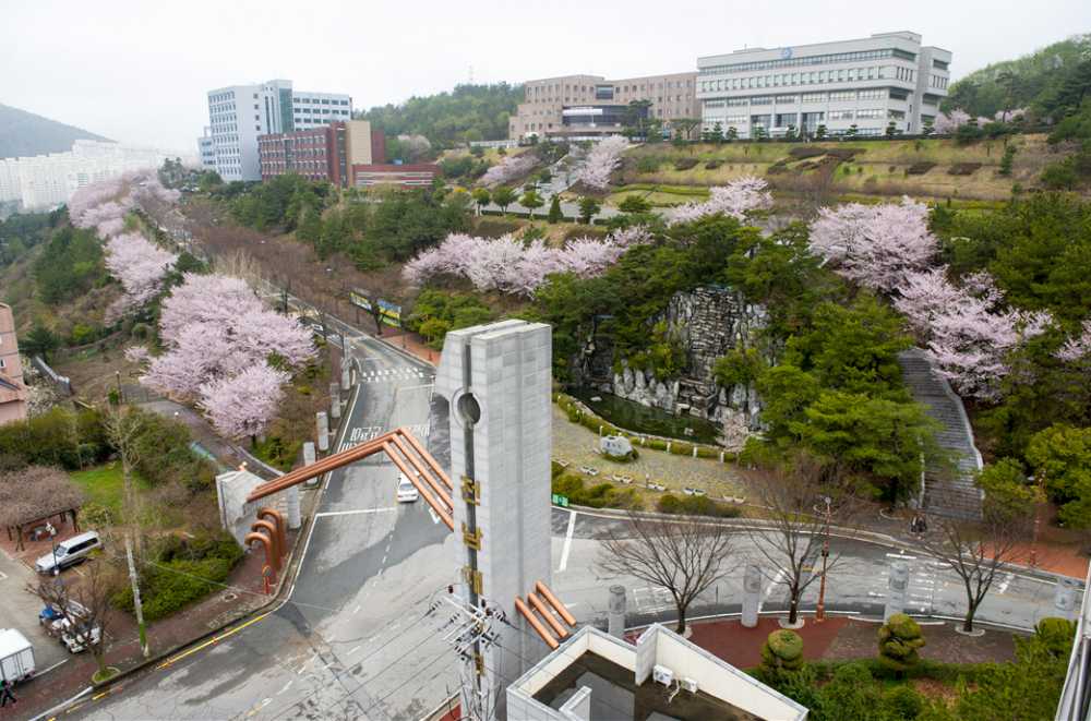 ▲ 전남대학교 여수캠퍼스