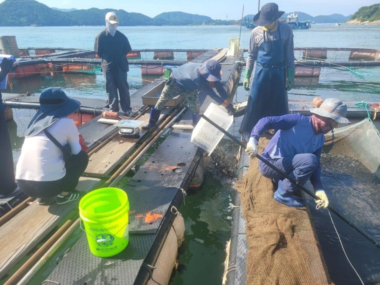 ▲ 지난 4일 돌산 군내리 긴급 방류 ⓒ여수시