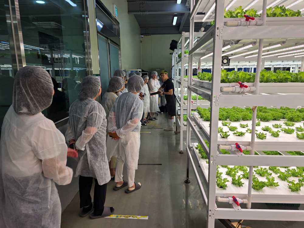 ▲ 참여 학부모들이 발달장애인 가족 창업 특화사업장인 광주 ‘가치만드소’ 스마트팜을 견학하고 있다. ⓒ전라남도교육청